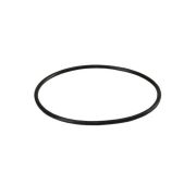 Кольцо уплотнительное (ORING-BB) для BB корпусов FILTER HOUSING и Naturewater